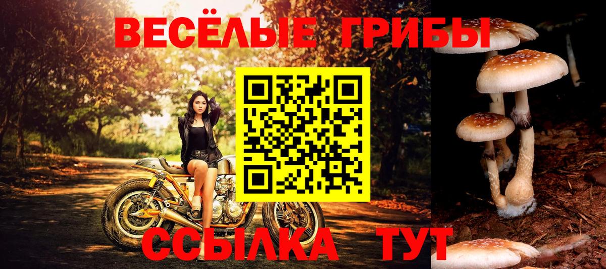 Псилоцибиновые грибы мицелий  Вход с VPN  Псилоцибиновые грибы Cubensis  Барабинск 
